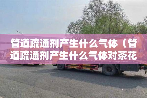 管道疏通剂产生什么气体（管道疏通剂产生什么气体对茶花有害）