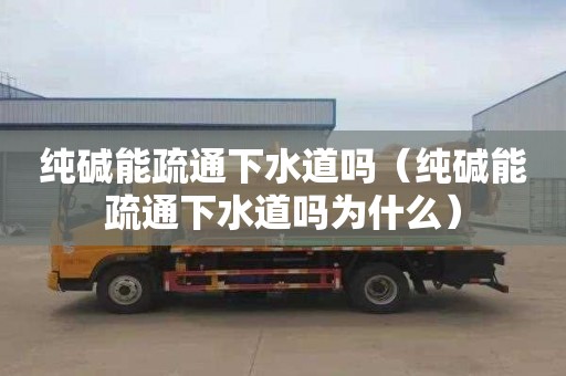 纯碱能疏通下水道吗（纯碱能疏通下水道吗为什么）