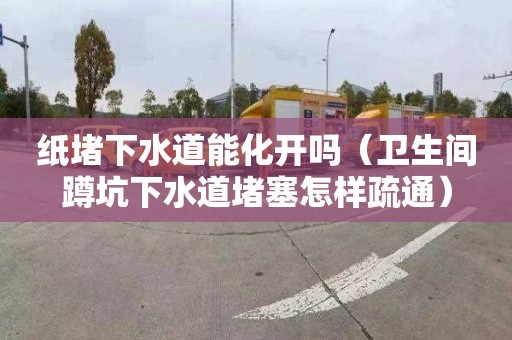 纸堵下水道能化开吗（卫生间蹲坑下水道堵塞怎样疏通）