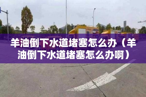 羊油倒下水道堵塞怎么办（羊油倒下水道堵塞怎么办啊）