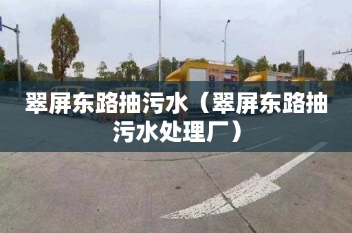 翠屏东路抽污水（翠屏东路抽污水处理厂）