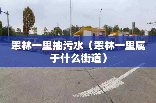 翠林一里抽污水（翠林一里属于什么街道）