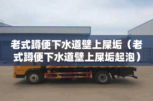 老式蹲便下水道壁上屎垢（老式蹲便下水道壁上屎垢起泡）