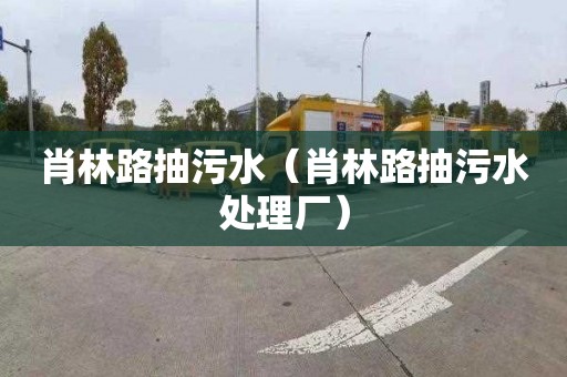 肖林路抽污水（肖林路抽污水处理厂）