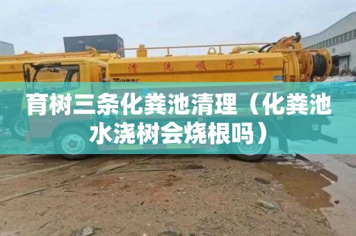 育树三条化粪池清理（化粪池水浇树会烧根吗）