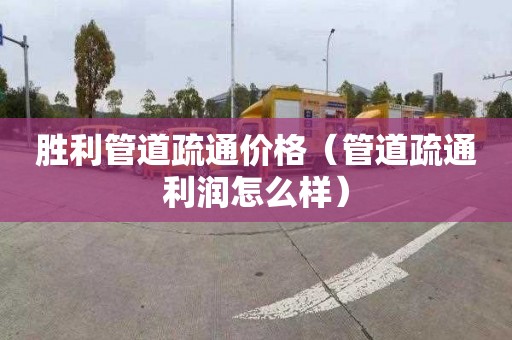 胜利管道疏通价格（管道疏通利润怎么样）