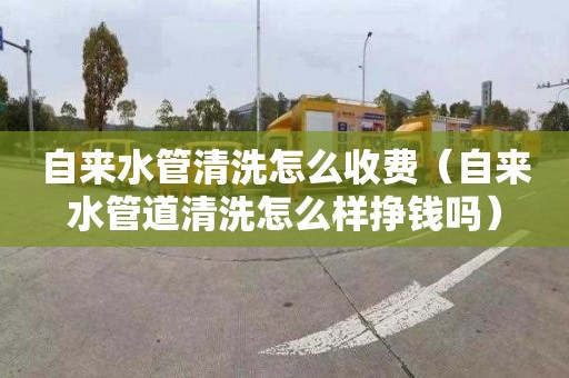 自来水管清洗怎么收费（自来水管道清洗怎么样挣钱吗）