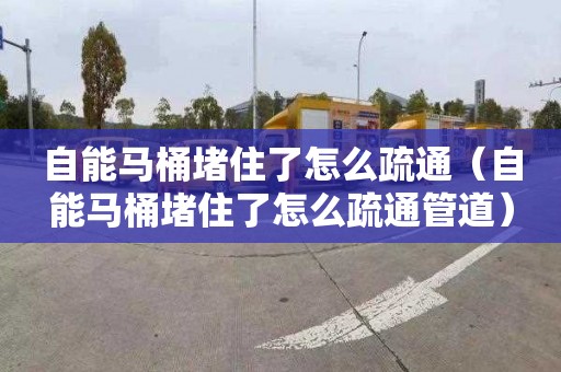 自能马桶堵住了怎么疏通（自能马桶堵住了怎么疏通管道）