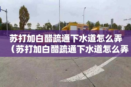 苏打加白醋疏通下水道怎么弄（苏打加白醋疏通下水道怎么弄好）