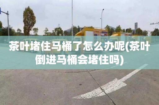 茶叶堵住马桶了怎么办呢(茶叶倒进马桶会堵住吗)