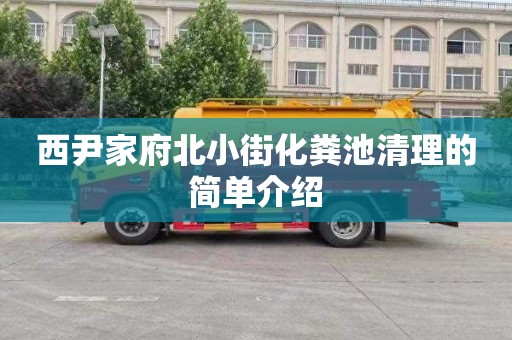 西尹家府北小街化粪池清理的简单介绍