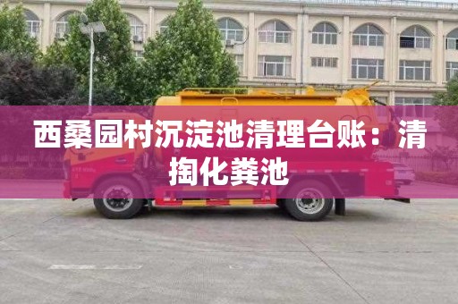 西桑园村沉淀池清理台账：清掏化粪池