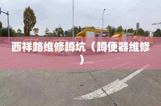 西祥路维修蹲坑（蹲便器维修）