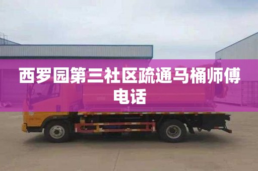 西罗园第三社区疏通马桶师傅电话