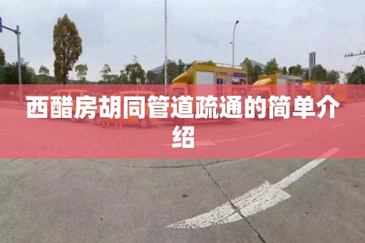 西醋房胡同管道疏通的简单介绍