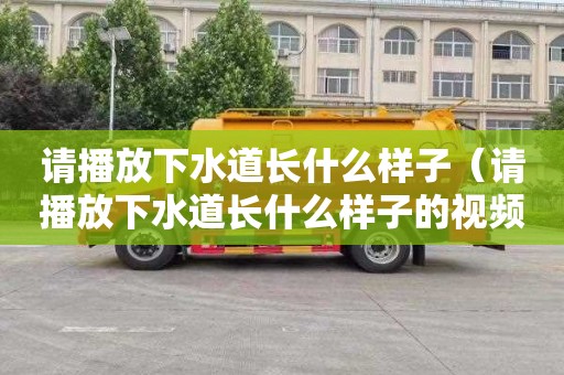 请播放下水道长什么样子（请播放下水道长什么样子的视频）