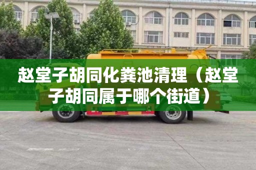 赵堂子胡同化粪池清理（赵堂子胡同属于哪个街道）