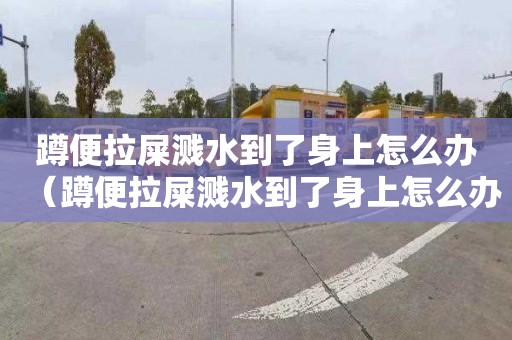 蹲便拉屎溅水到了身上怎么办（蹲便拉屎溅水到了身上怎么办呢）