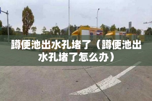 蹲便池出水孔堵了（蹲便池出水孔堵了怎么办）