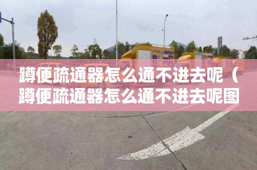 蹲便疏通器怎么通不进去呢（蹲便疏通器怎么通不进去呢图片）