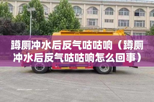 蹲厕冲水后反气咕咕响（蹲厕冲水后反气咕咕响怎么回事）