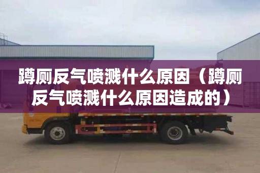 蹲厕反气喷溅什么原因（蹲厕反气喷溅什么原因造成的）