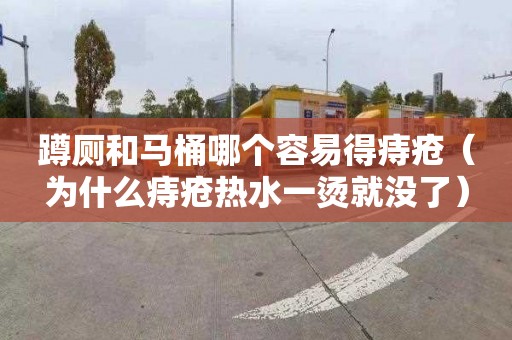 蹲厕和马桶哪个容易得痔疮（为什么痔疮热水一烫就没了）