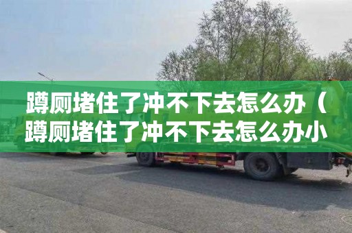 蹲厕堵住了冲不下去怎么办（蹲厕堵住了冲不下去怎么办小妙招）