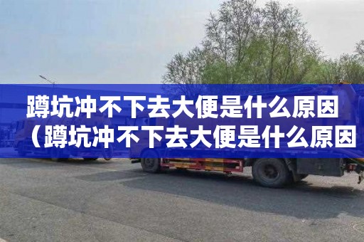 蹲坑冲不下去大便是什么原因（蹲坑冲不下去大便是什么原因引起的）