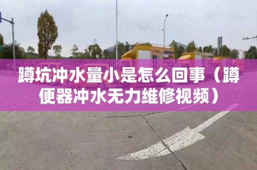 蹲坑冲水量小是怎么回事（蹲便器冲水无力维修视频）