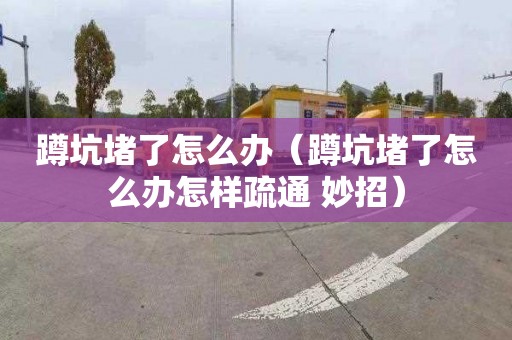 蹲坑堵了怎么办（蹲坑堵了怎么办怎样疏通 妙招）