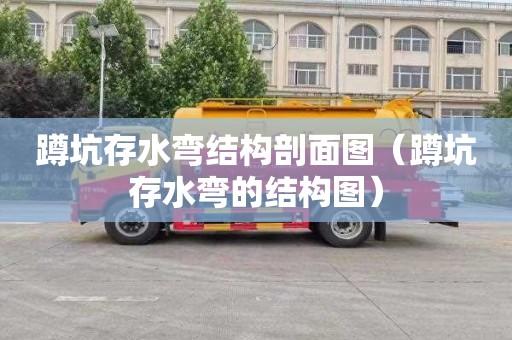 蹲坑存水弯结构剖面图（蹲坑存水弯的结构图）