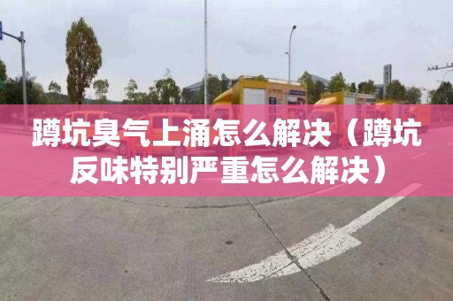 蹲坑臭气上涌怎么解决（蹲坑反味特别严重怎么解决）