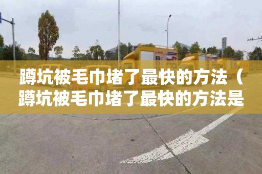 蹲坑被毛巾堵了最快的方法（蹲坑被毛巾堵了最快的方法是什么）