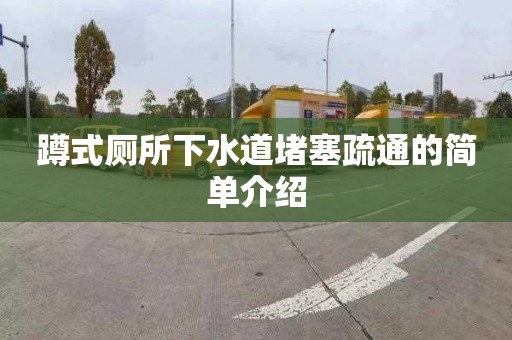 蹲式厕所下水道堵塞疏通的简单介绍