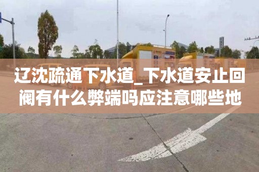 辽沈疏通下水道_下水道安止回阀有什么弊端吗应注意哪些地方