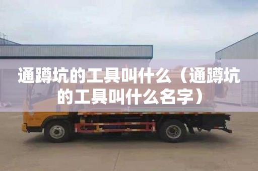 通蹲坑的工具叫什么（通蹲坑的工具叫什么名字）