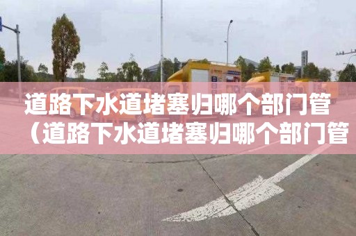 道路下水道堵塞归哪个部门管（道路下水道堵塞归哪个部门管呢）