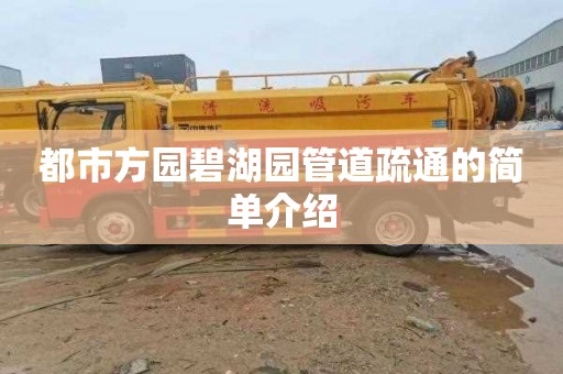 都市方园碧湖园管道疏通的简单介绍