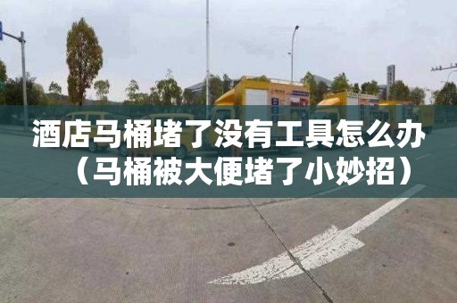 酒店马桶堵了没有工具怎么办（马桶被大便堵了小妙招）