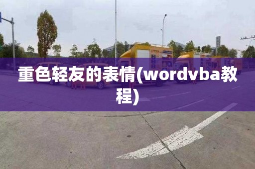 重色轻友的表情(wordvba教程)