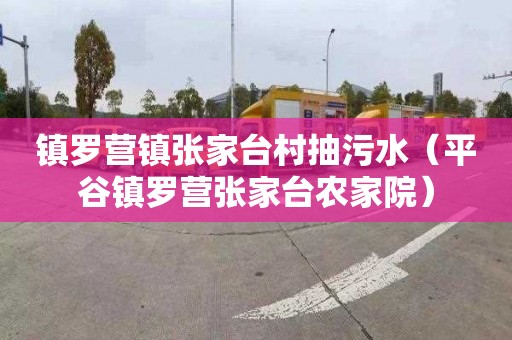 镇罗营镇张家台村抽污水（平谷镇罗营张家台农家院）