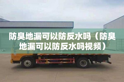 防臭地漏可以防反水吗（防臭地漏可以防反水吗视频）