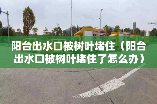 阳台出水口被树叶堵住（阳台出水口被树叶堵住了怎么办）