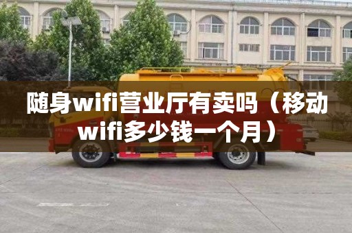 随身wifi营业厅有卖吗（移动wifi多少钱一个月）