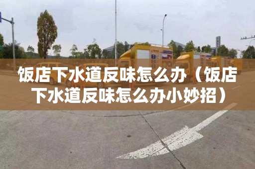 饭店下水道反味怎么办（饭店下水道反味怎么办小妙招）