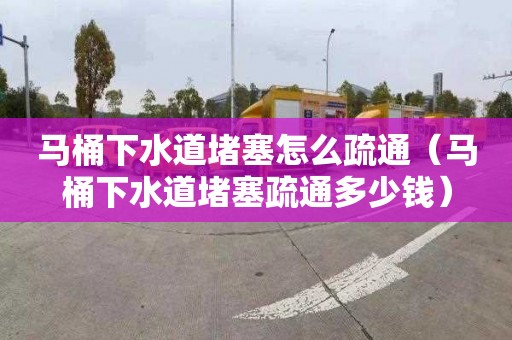 马桶下水道堵塞怎么疏通（马桶下水道堵塞疏通多少钱）