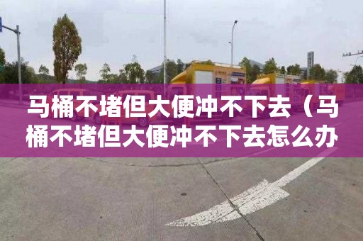 马桶不堵但大便冲不下去（马桶不堵但大便冲不下去怎么办）