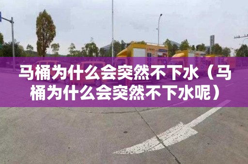 马桶为什么会突然不下水（马桶为什么会突然不下水呢）