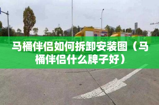 马桶伴侣如何拆卸安装图（马桶伴侣什么牌子好）